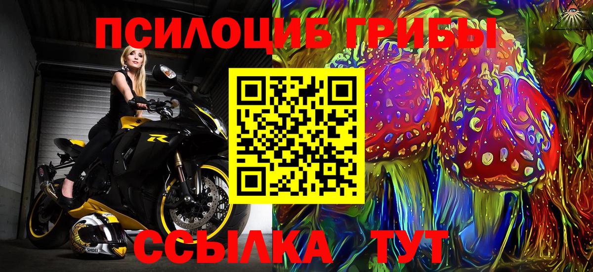 Псилоцибиновые грибы Psilocybe Отрадный